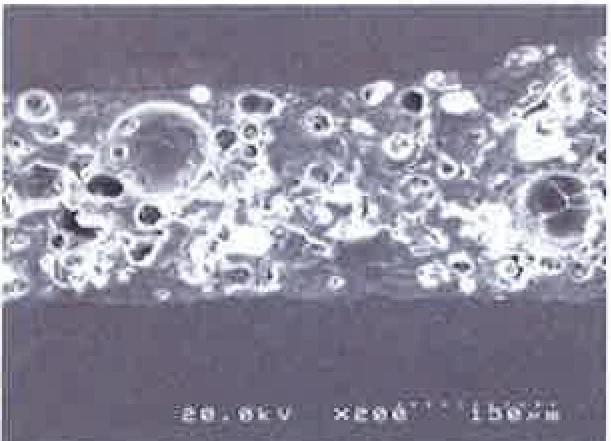 Cliché microscope ×200 du revêtement GAINA
