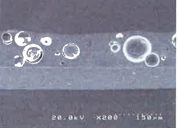 Cliché microscope ×200 du revêtement MIRA COOL