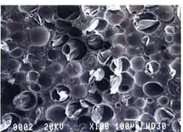 Cliché microscope ×200 du revêtement ThermBlock